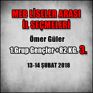 MEB LİSELER ARASI İL SEÇMELERİ