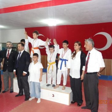 ANNELER GÜNÜ KARATE ŞAMPİYONASI (2)