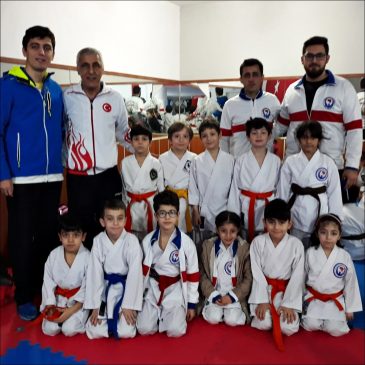 KULÜPLER ARASI GELİŞİM TURNUVASI