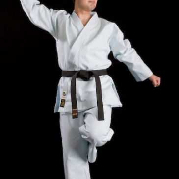 YAZ ŞENLİKLERİ KARATE ŞAMPİYONASI