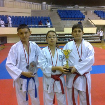 YILDIZLAR İSTANBUL KARATE ŞAMPİYONASI